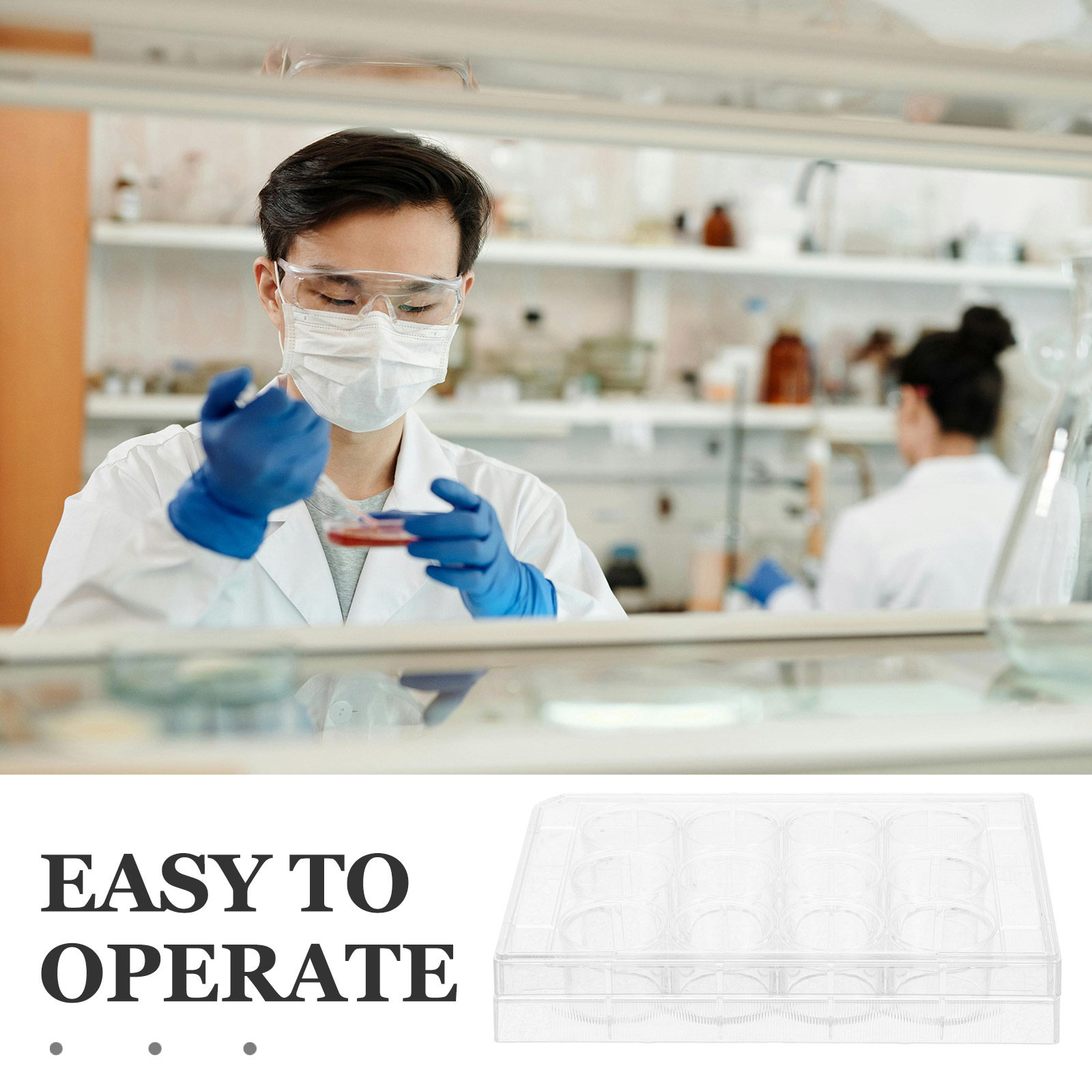 12웰 투명 세포 배양 플레이트, 평면 표면 조직 배양 - Lab Equipment 리뷰 및 가격